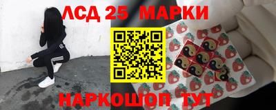стафф Свободный