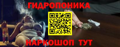 стафф Свободный