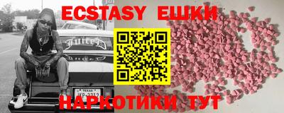 дмт Славгород