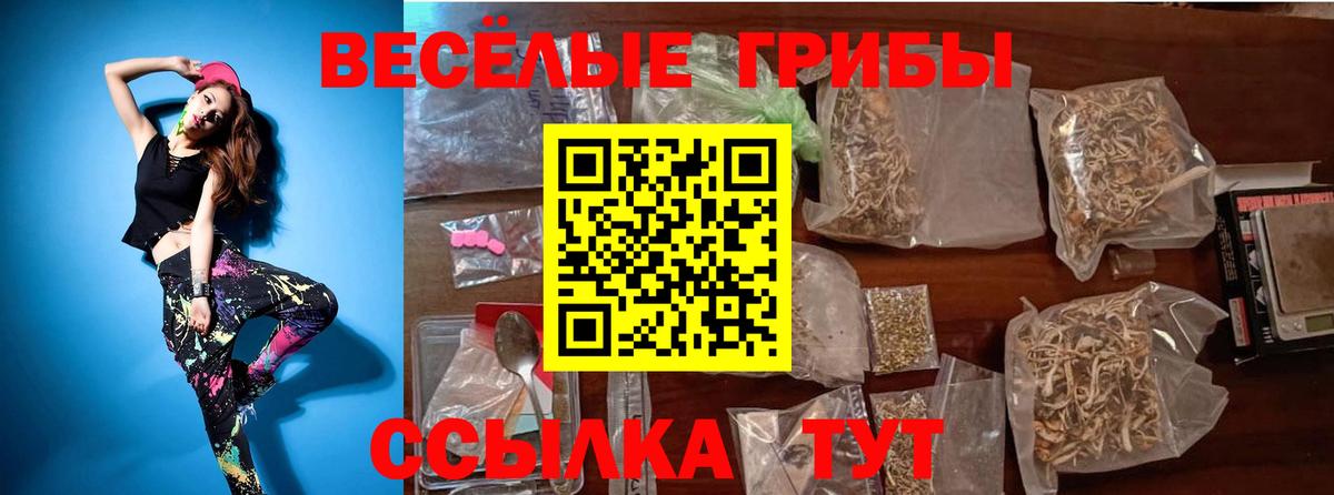 Псилоцибиновые грибы мицелий Нефтекумск